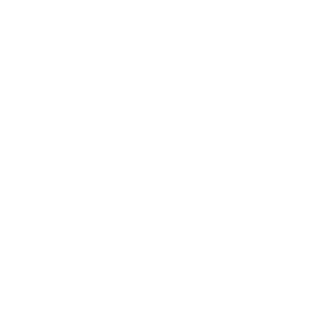 Toyi